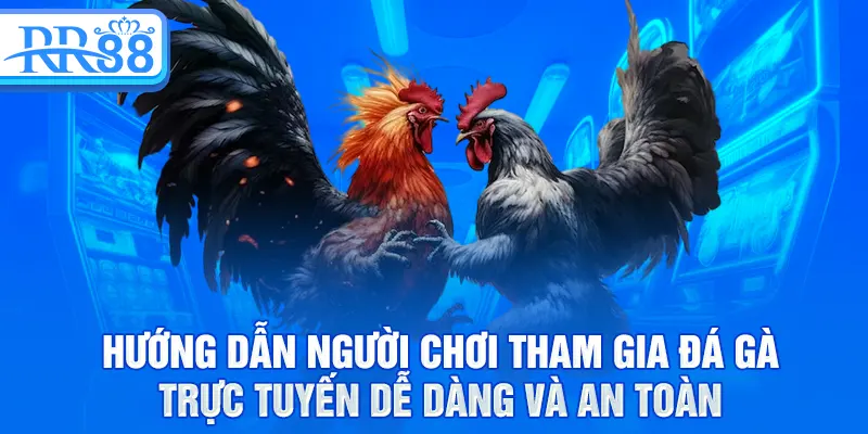 Hướng dẫn người chơi tham gia đá gà trực tuyến dễ dàng và an toàn